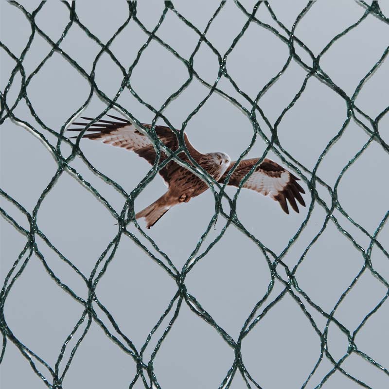 Який вибір матеріалів, переваги та недоліки сіток для захисту від птахів?