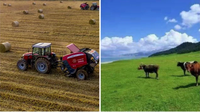 Застосування сітчастої плівки в сільськогосподарській діяльності