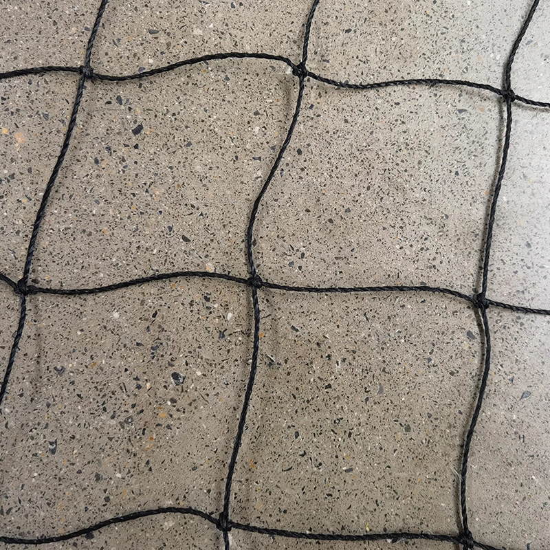 Роль крикетних сіток