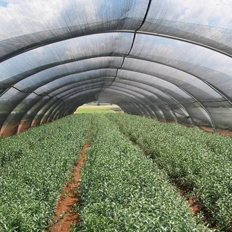 Чи хороший охолоджуючий ефект тканини для штор?