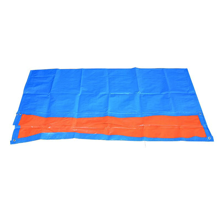 ПП Тайс Тасс